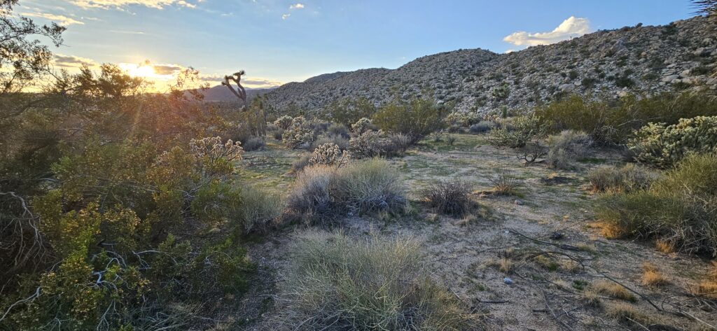 Southern California High Desert